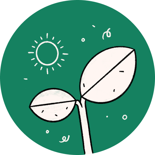 Teacher's Guide for Educators in Ukraine