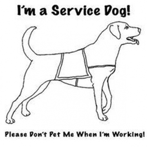 Disability Representation Coloring Book Pages